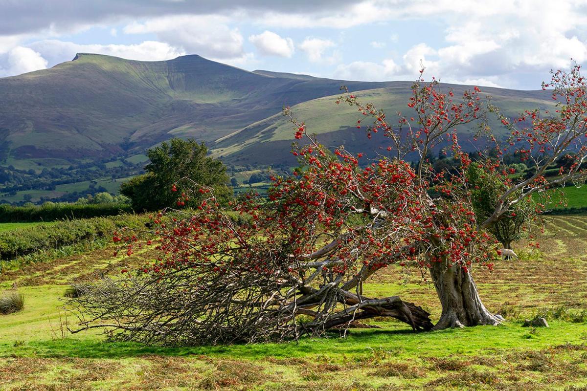 Picturesque 2 Bedroom Miners Cottage Near Bike Park Wales & Brecon Beacons Merthyr Tydfil Zewnętrze zdjęcie